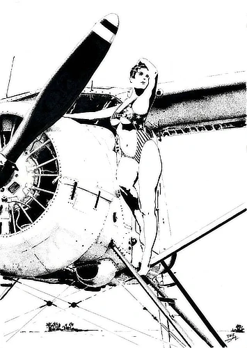 Standing at the top of her Beaver’s steps, the woman in a stars and stripes swimsuit faces us with a poised, confident stance.   Sunlight glints off the aircraft’s fuselage, while tropical islands fad
